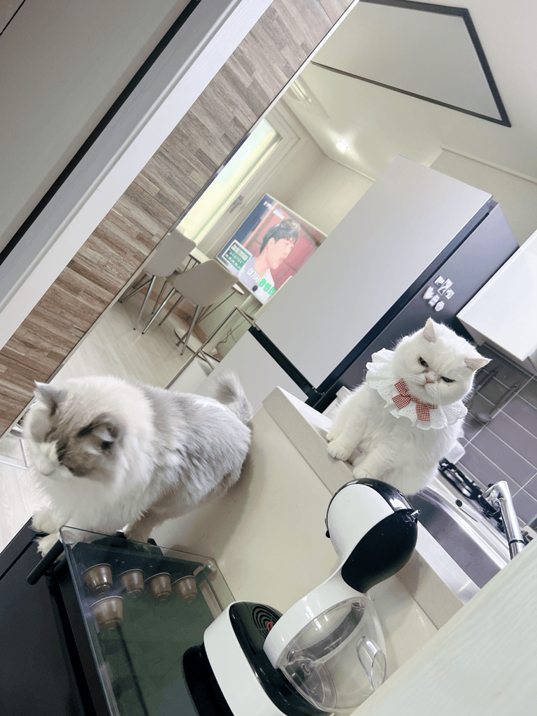 1번 째 사진