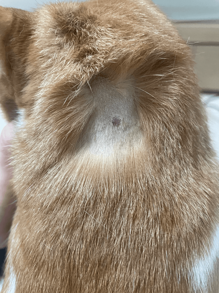 2번 째 사진