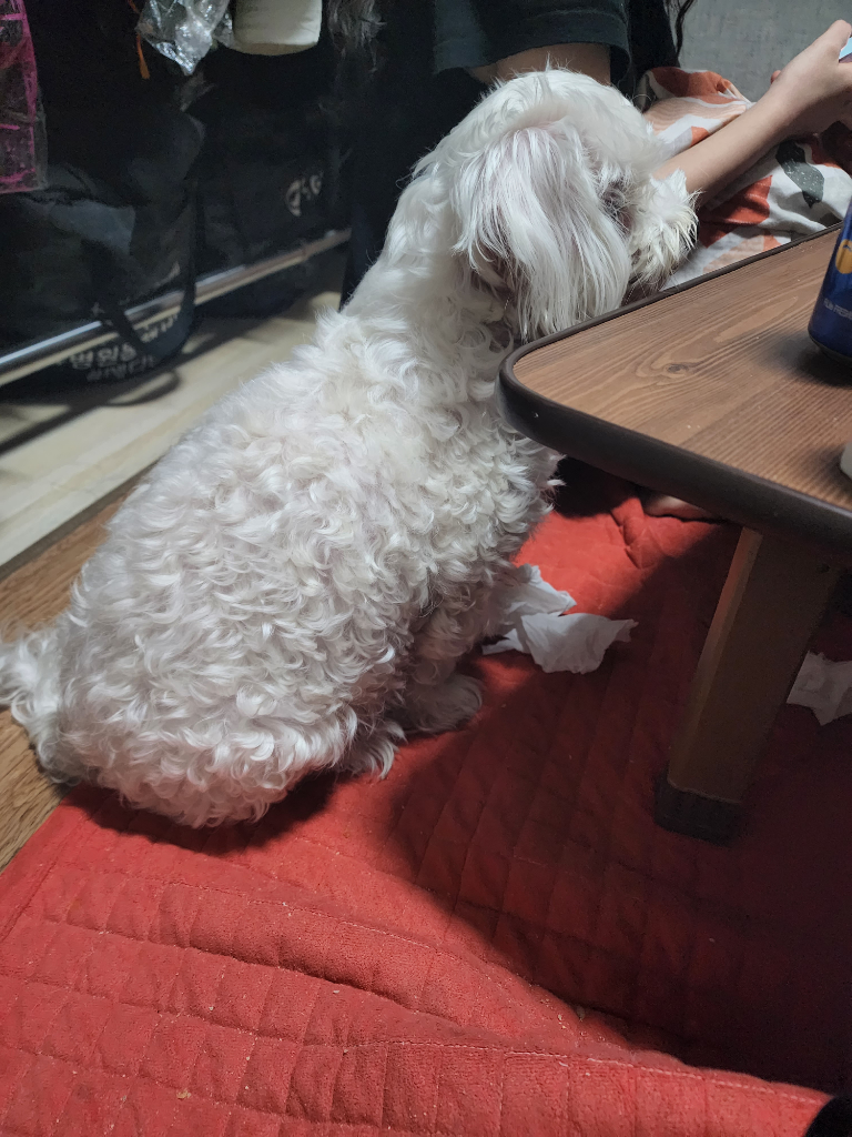1번 째 사진