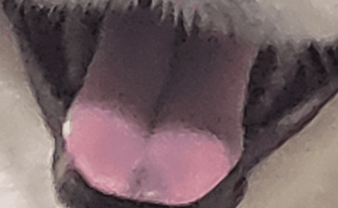 2번 째 사진