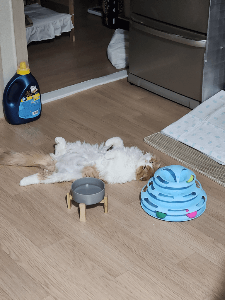 4번 째 사진