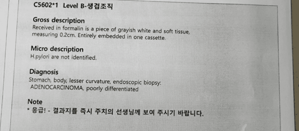 4번 째 사진