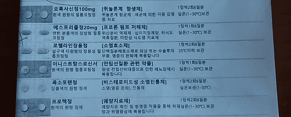 1번 째 사진