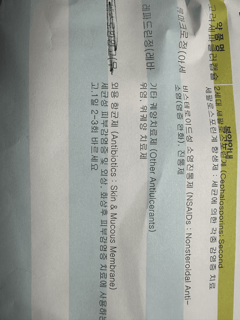 1번 째 사진