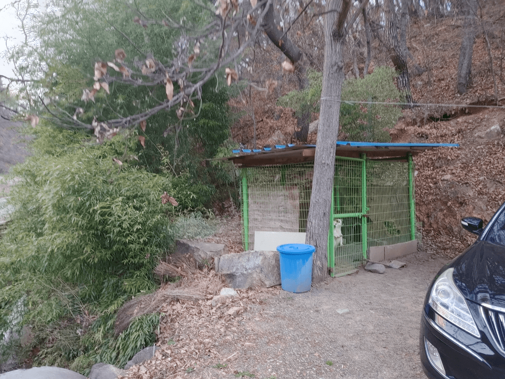 1번 째 사진