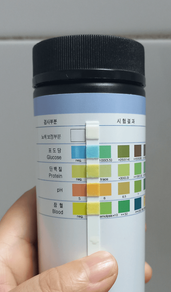 1번 째 사진