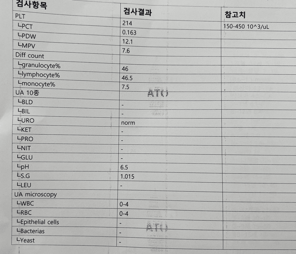 2번 째 사진
