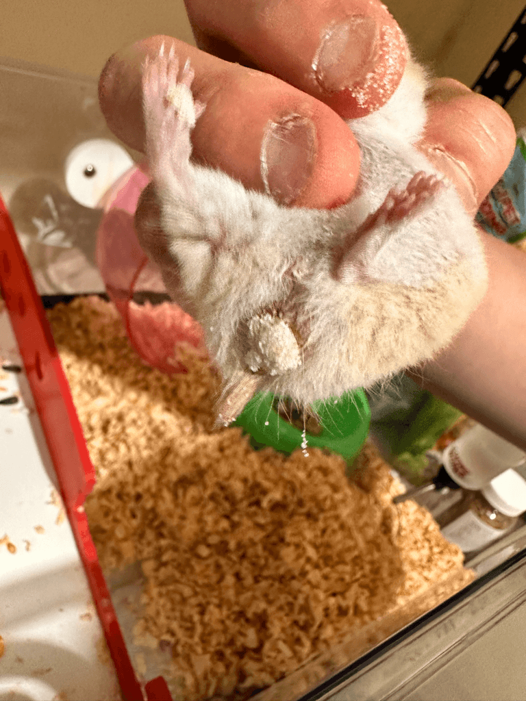 1번 째 사진