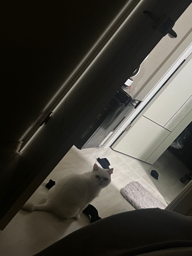 1번 째 사진