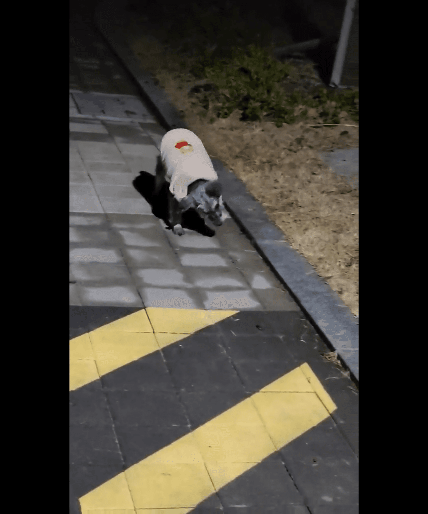 1번 째 사진