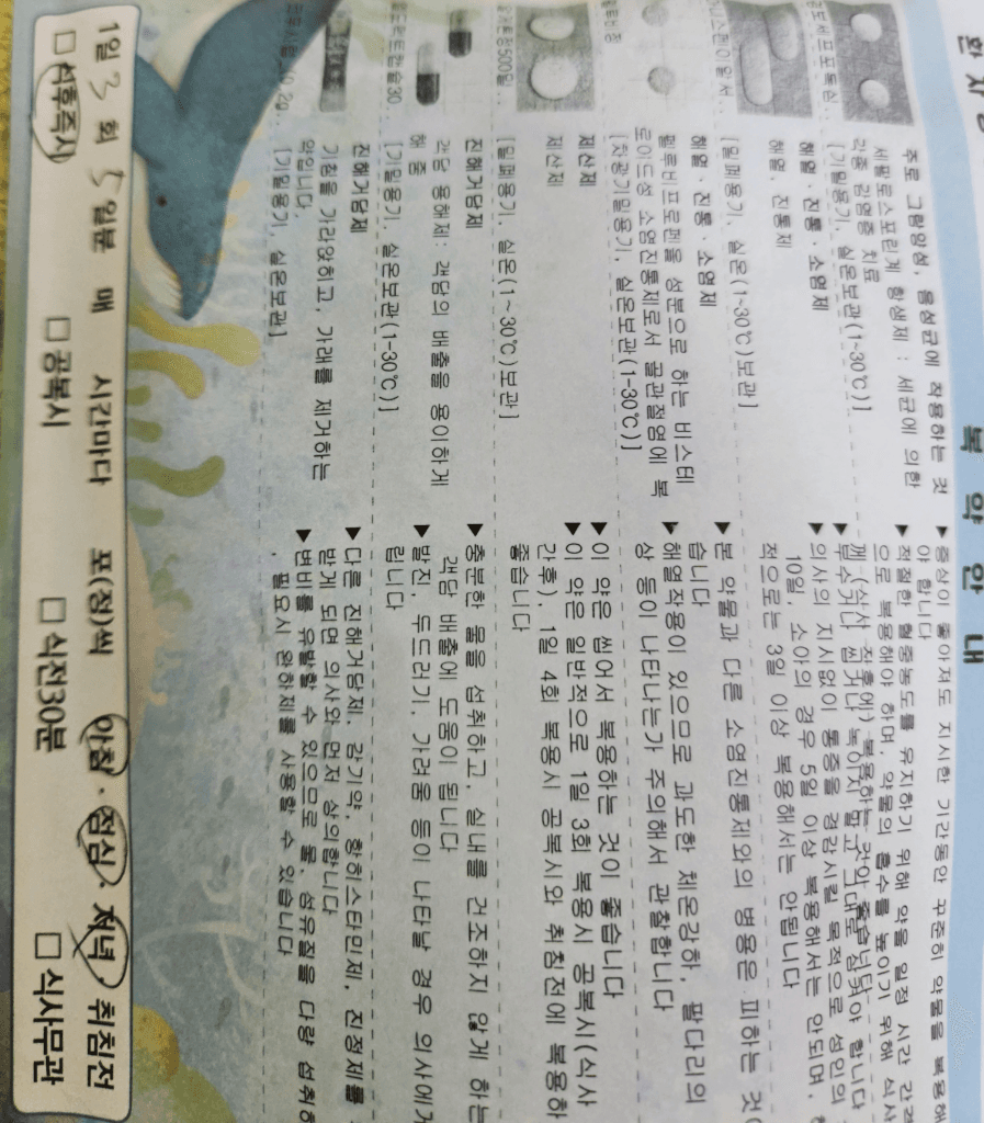 3번 째 사진