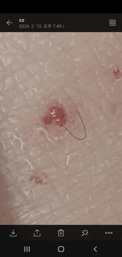 4번 째 사진