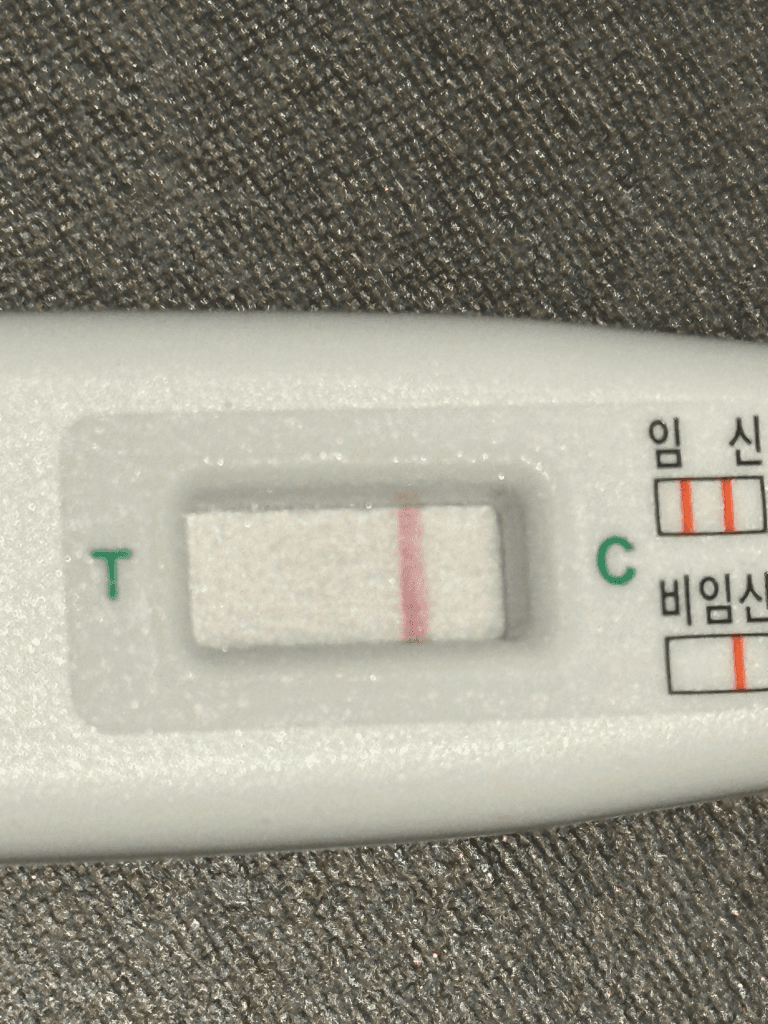 2번 째 사진