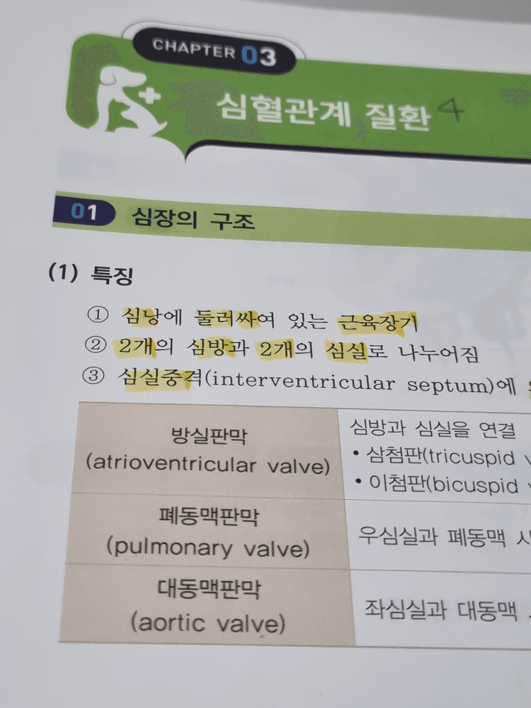 2번 째 사진