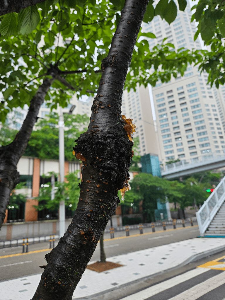 2번 째 사진