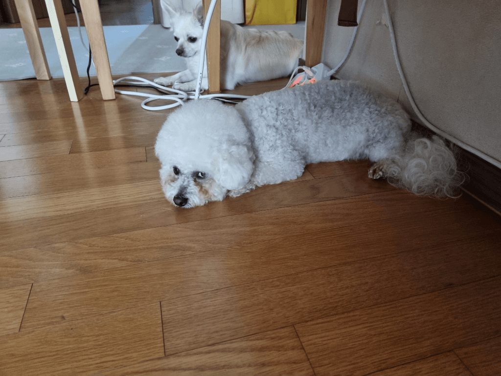 1번 째 사진
