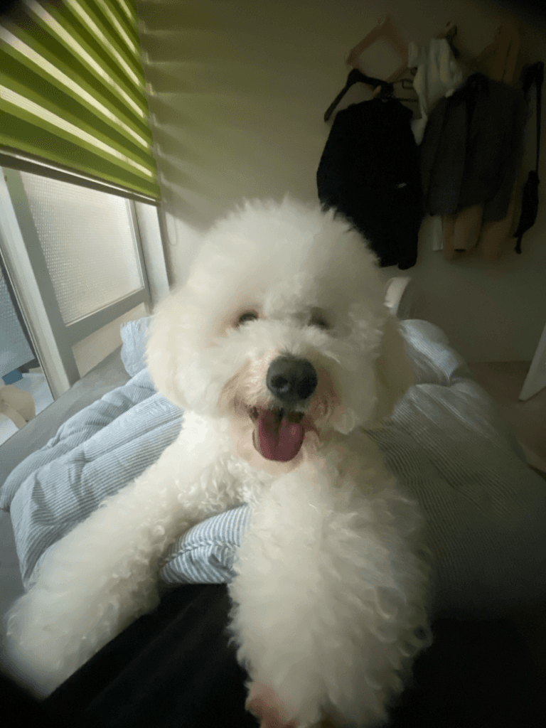1번 째 사진