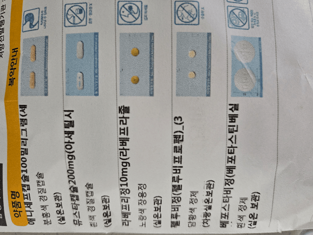 1번 째 사진