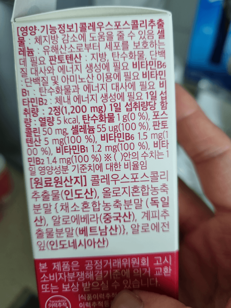 2번 째 사진