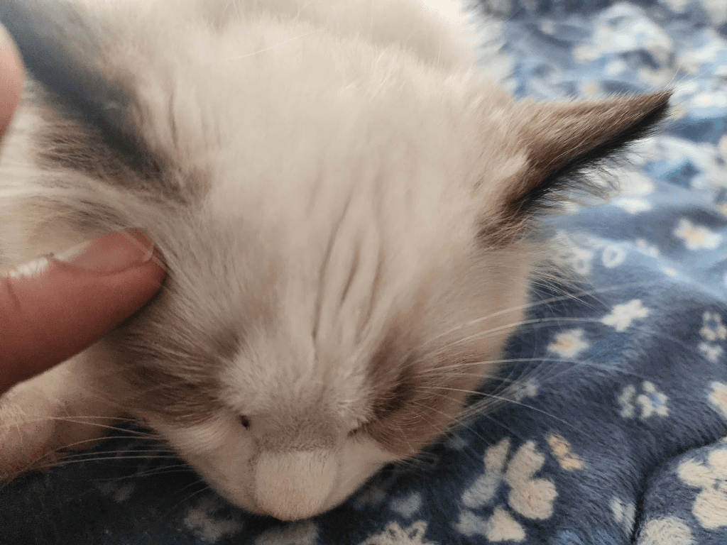 6번 째 사진