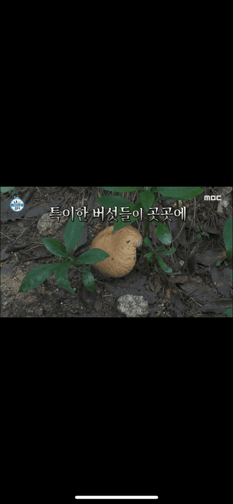 2번 째 사진