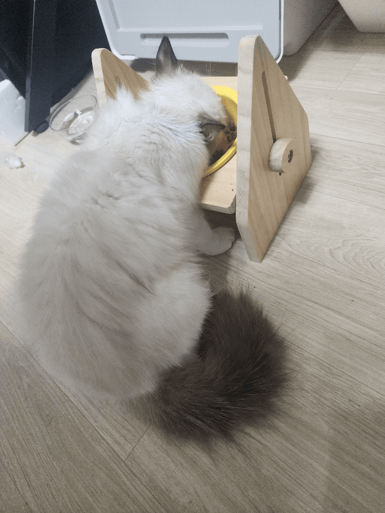 3번 째 사진
