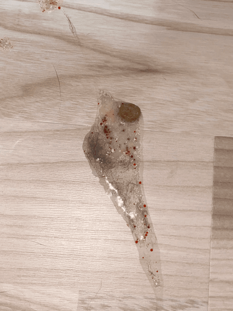 6번 째 사진