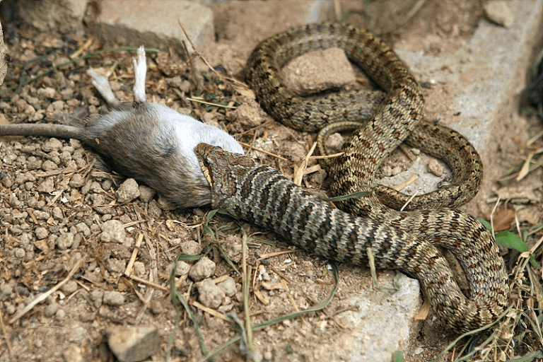4번 째 사진