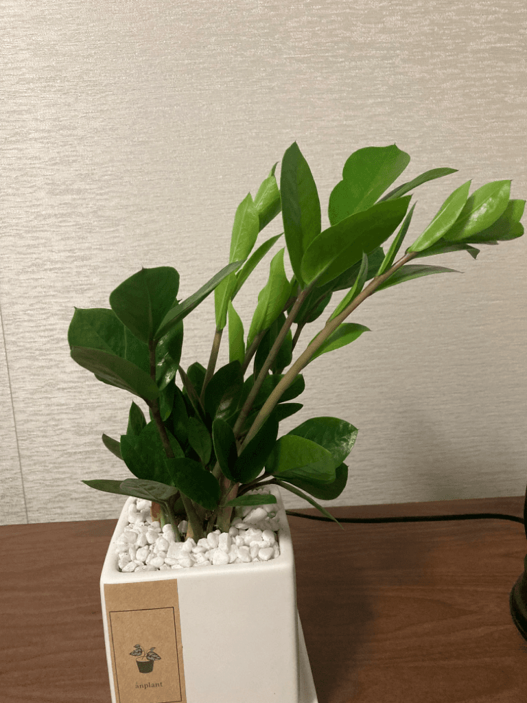 1번 째 사진