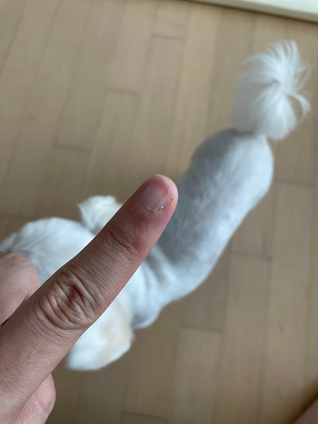 1번 째 사진