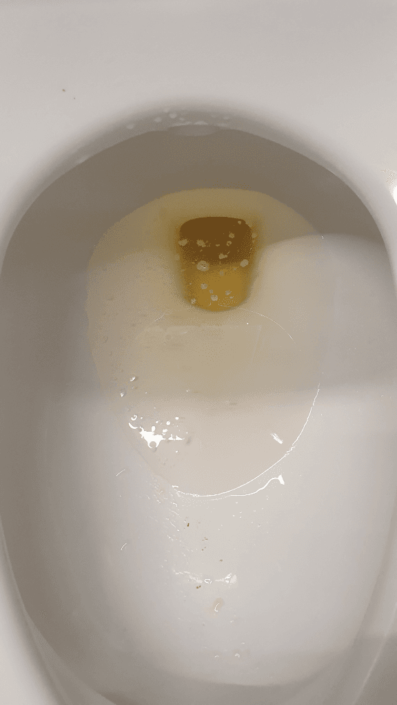 2번 째 사진