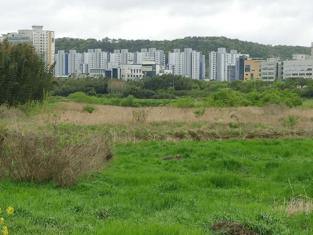 5번 째 사진