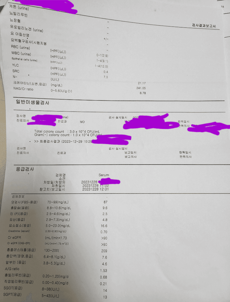 2번 째 사진