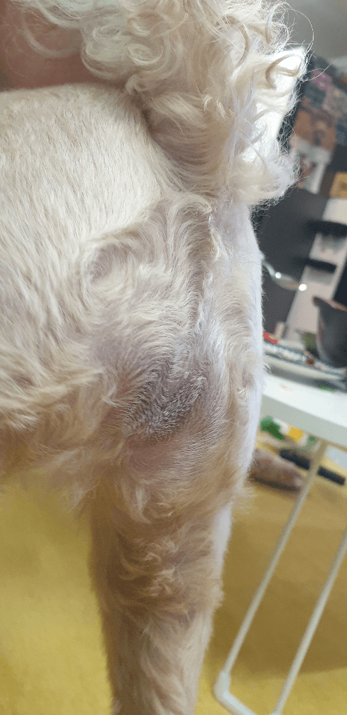 2번 째 사진
