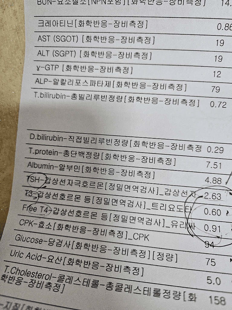 2번 째 사진