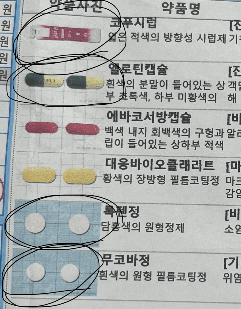 1번 째 사진