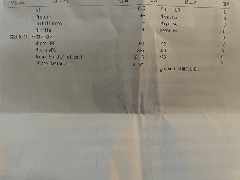 2번 째 사진