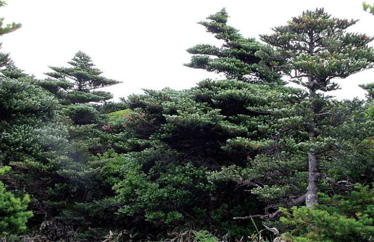 5번 째 사진