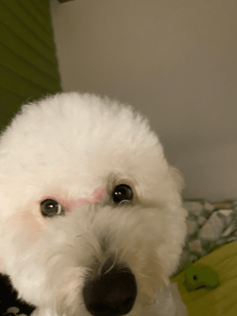 1번 째 사진