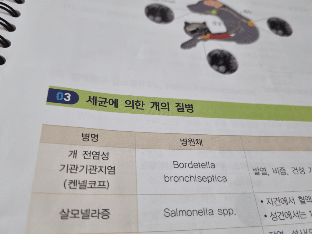 2번 째 사진