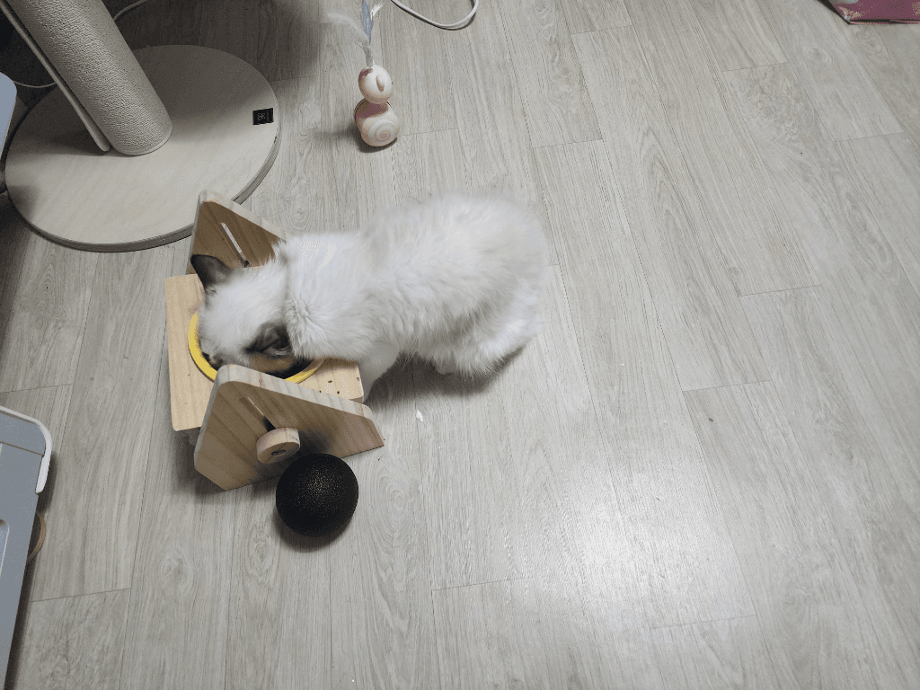 2번 째 사진
