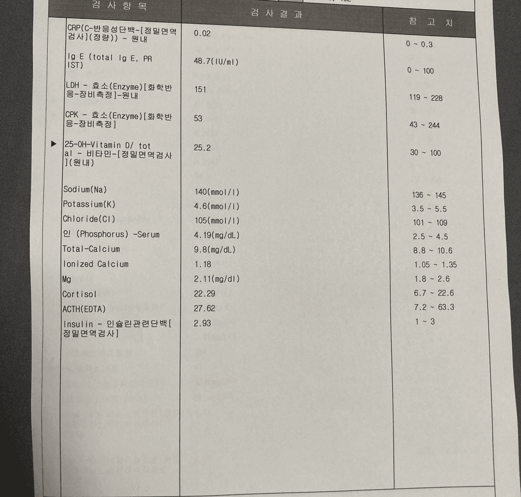 4번 째 사진
