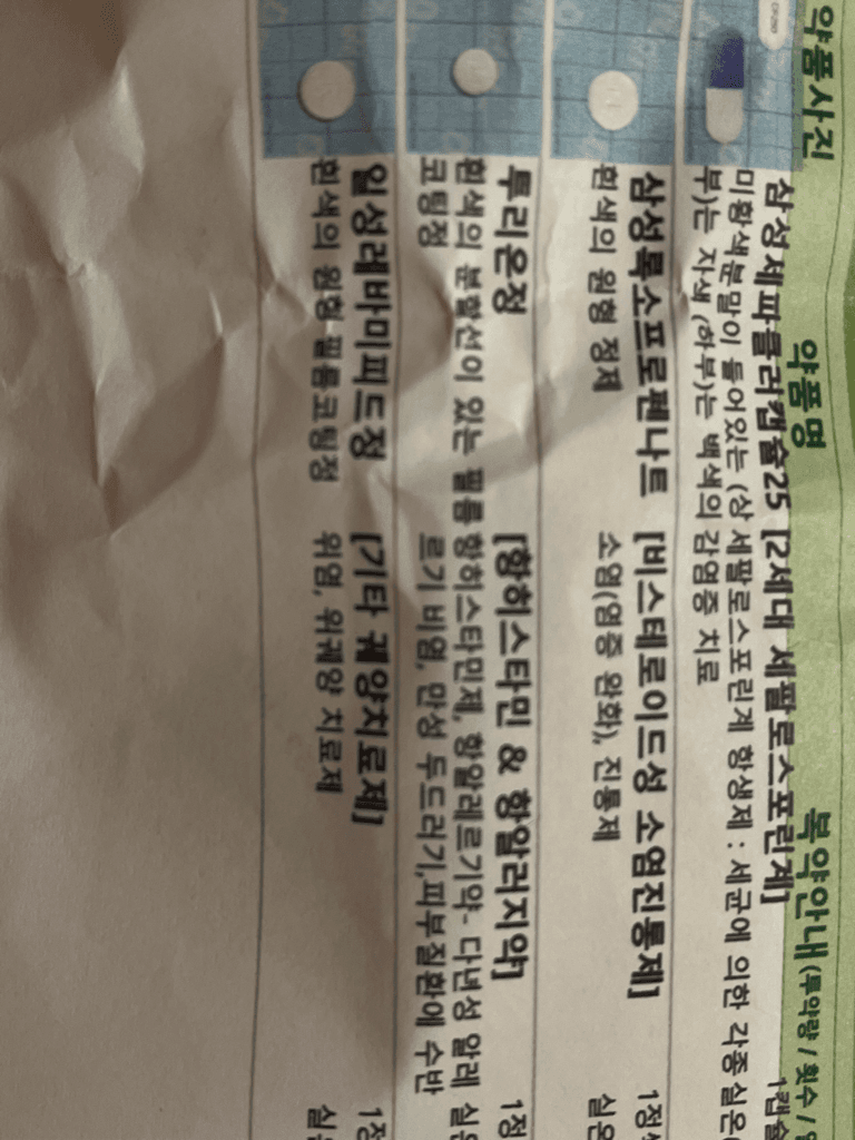 1번 째 사진