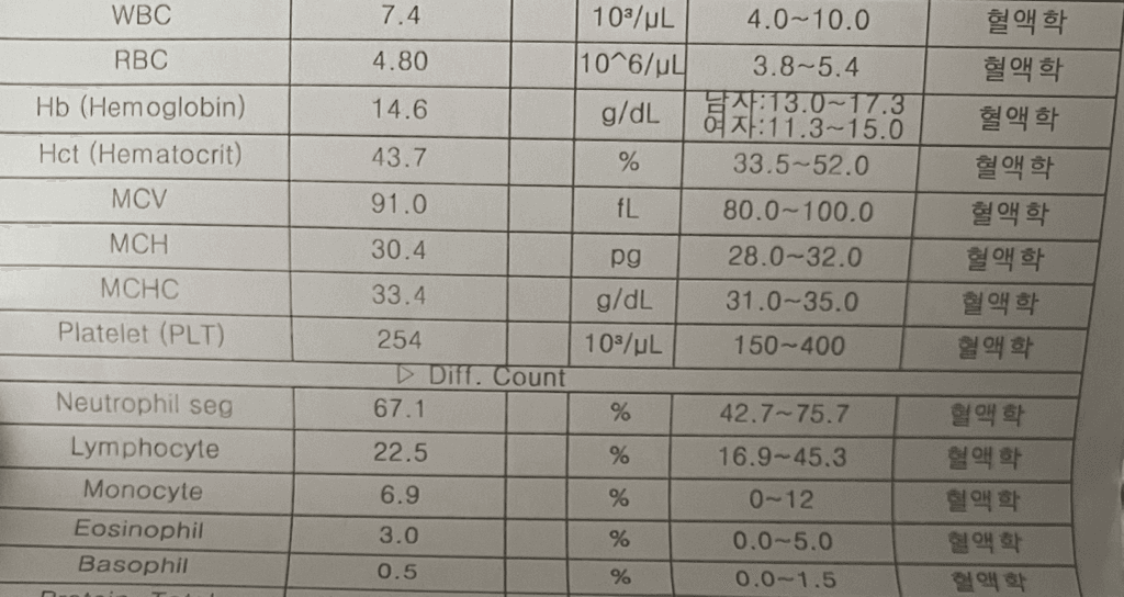 2번 째 사진