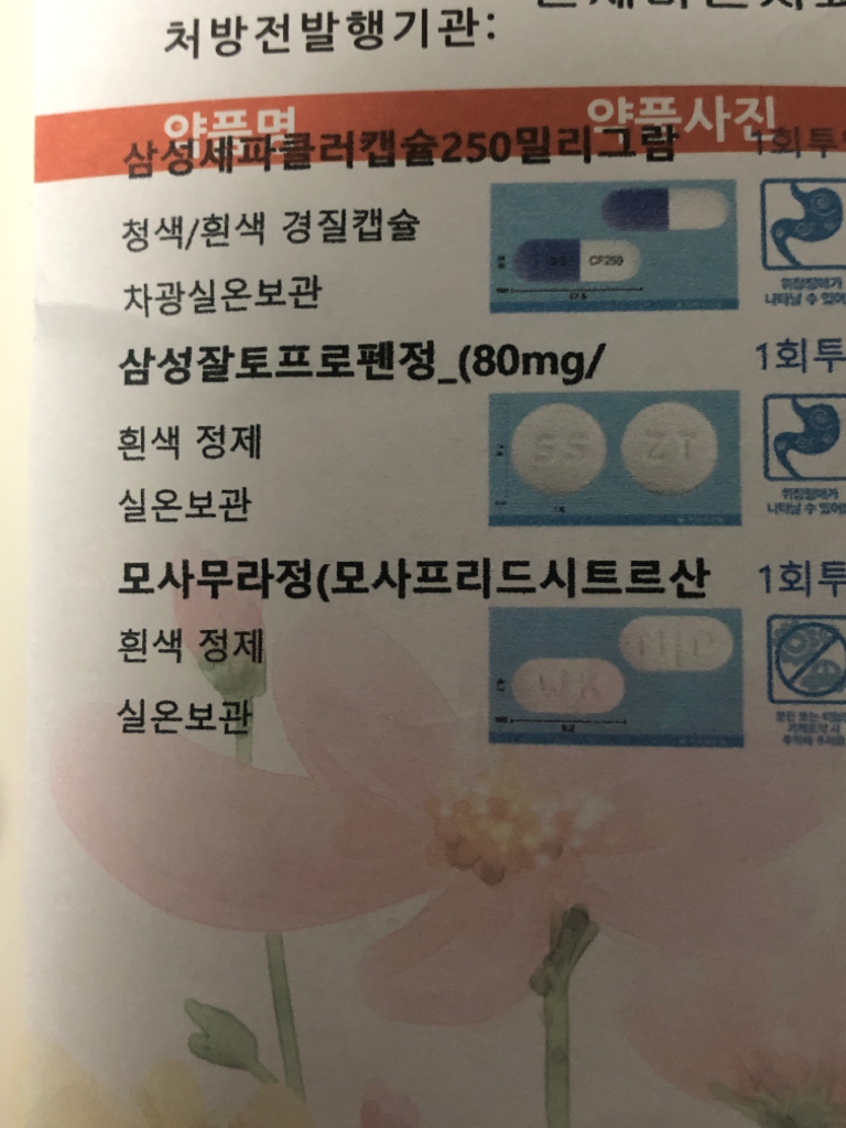 2번 째 사진