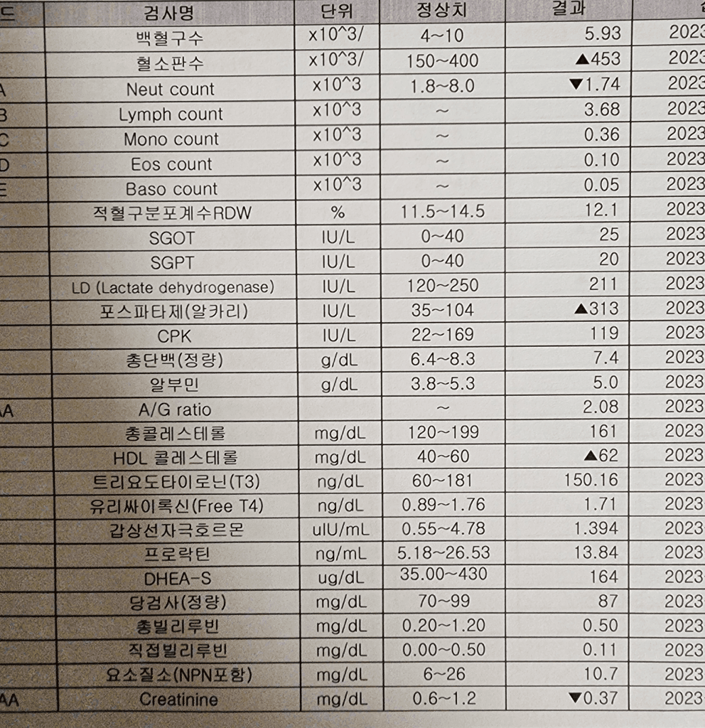 2번 째 사진