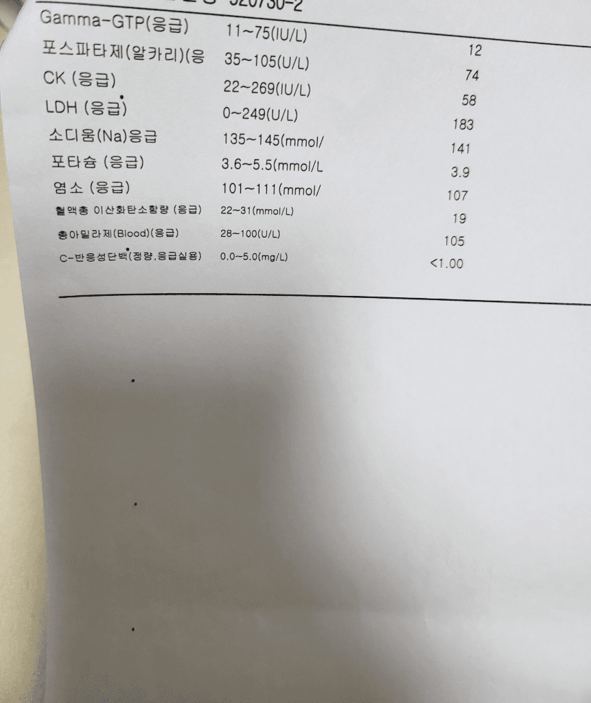 3번 째 사진