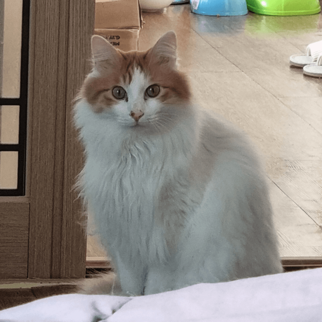 4번 째 사진