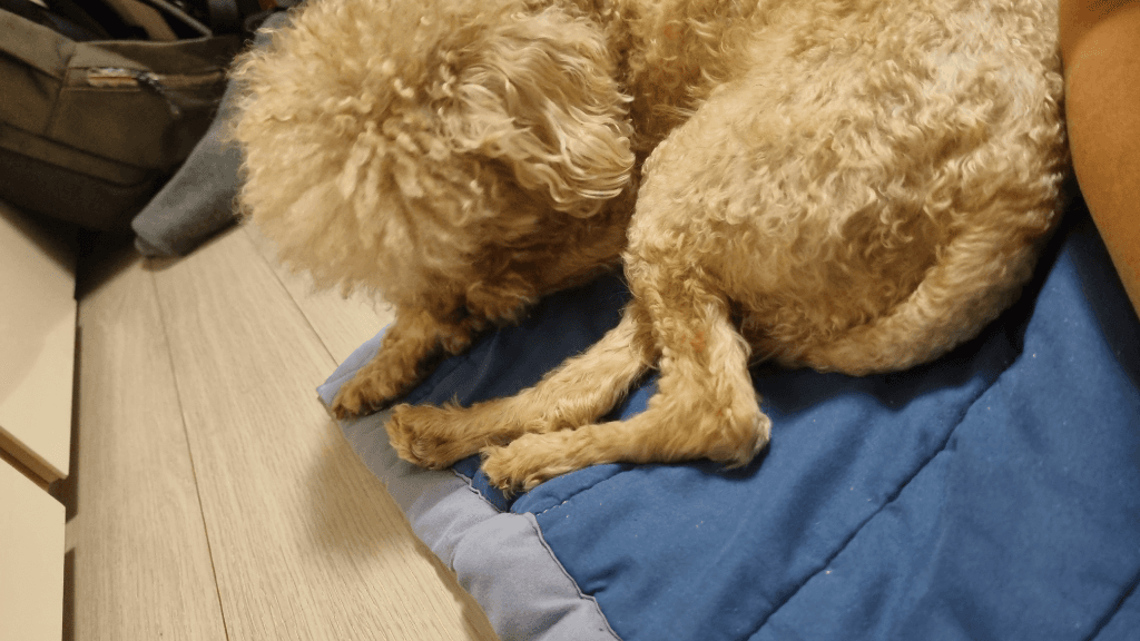 1번 째 사진