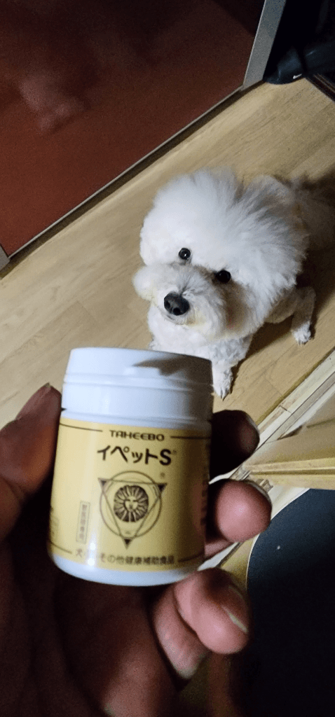7번 째 사진